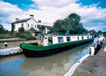 Wild Mint in Napton Junction, Warwickshire, Canals.