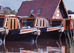 Alvechurch Goose in Alvechurch, Worcestershire, Canals