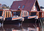 Alvechurch Grebe in Alvechurch, Worcestershire, Canals