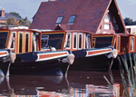 Alvechurch Gull in Alvechurch, Worcestershire, Canals.