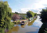 Anderton Swan in Anderton, Cheshire, Canals