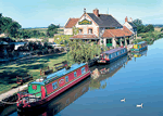 Wessex Grebe in Trowbridge, Wiltshire, Canals