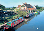 Wessex Thrush in Trowbridge, Wiltshire, Canals.