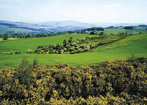 Ettrick Caravan in Hawick, Selkirkshire, Borders Scotland.