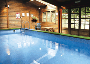 Tulip Tree Lodge in Oswestry, Shropshire, West England
