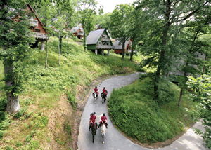 Woodland Lodge Six in Newton Abbot, Devon, South West England.