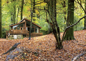 Golden Oak Plus Treehouse in Coleford, Gloucestershire, South West England.