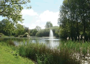 Cawston in Cawston, Norfolk, East England.