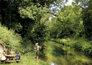 Towpath in Holcombe Rogus, Somerset, South West England