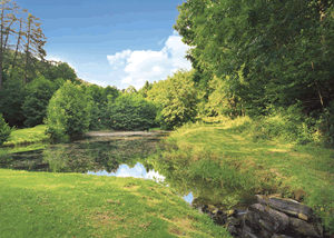 Saltspring Lodge VIP in Llangollen, Denbighshire, North Wales.