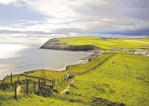 Seacote Puffin in St Bees, Cumbria, North West England