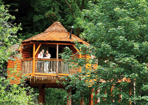 Golden Oak Plus Treehouse in Edwinstone, Nottinghamshire, Central England.