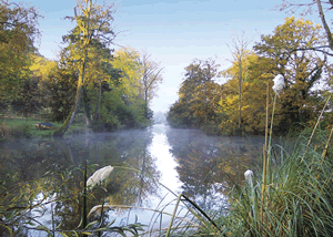 Upton Lakes Elm (Pet Friendly) in Cullompton, Devon, South West England.