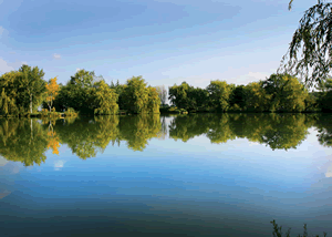 Larch Lodge in Weybread, Suffolk, East England