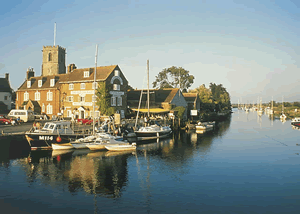 Ridge in Wareham, Dorset, South West England in Wareham, Dorset, South West England